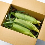 千葉県産　安西農園のとうもろこし「ピュアホワイト」10本入り