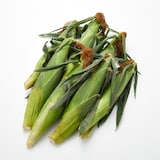 山梨県産　志田農園のとうもろこし「ドルチェドリーム」約3kg