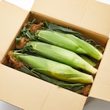 山梨県産　志田農園のとうもろこし「ドルチェドリーム」約3kg