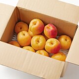 長野県産　平松農場の杏（あんず）信州大実 約1kg