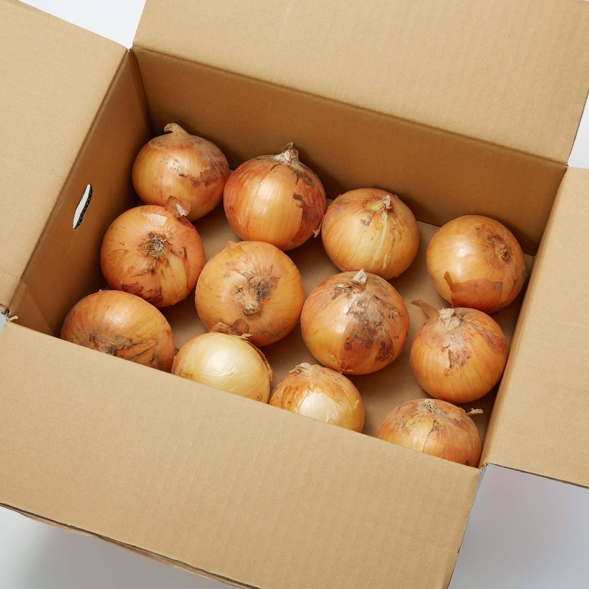 熊本県産 サラダたまねぎ「サラたまちゃん」約3kg | 無印良品