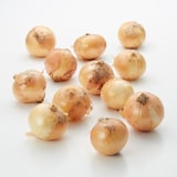 熊本県産　サラダたまねぎ「サラたまちゃん」約3kg