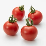 茨城県産　小菅農園の「フルーツミニトマト」約１ｋｇ