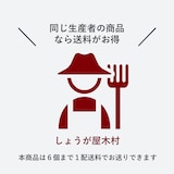 愛知県産 金時しょうがの「はじかみ生姜」15本入り