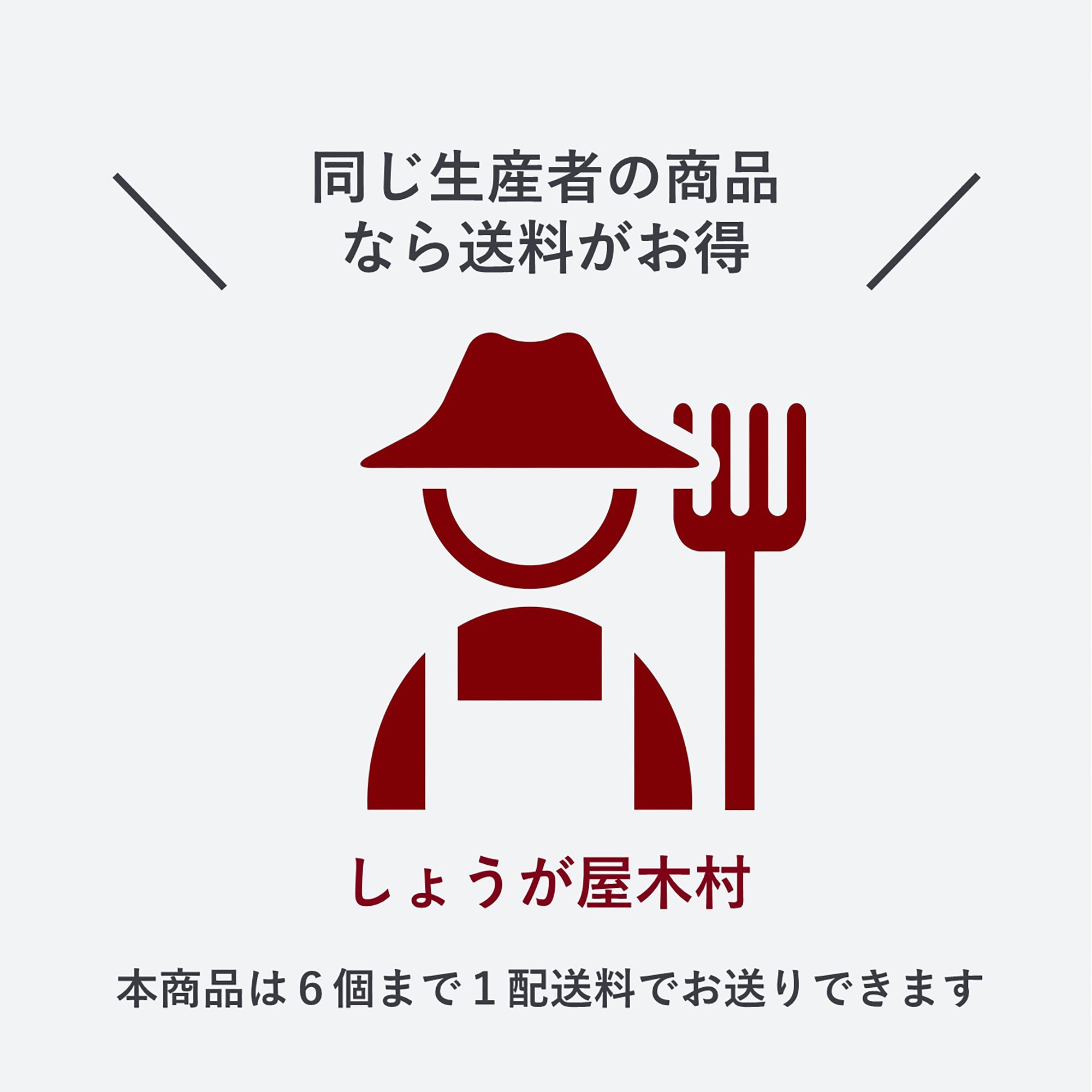 愛知県産 金時しょうがの「はじかみ生姜」15本入り