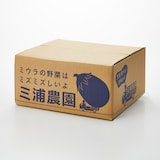 大阪府泉州産　水なすぬか漬け３個　極上の朝採り水なす３個　セット