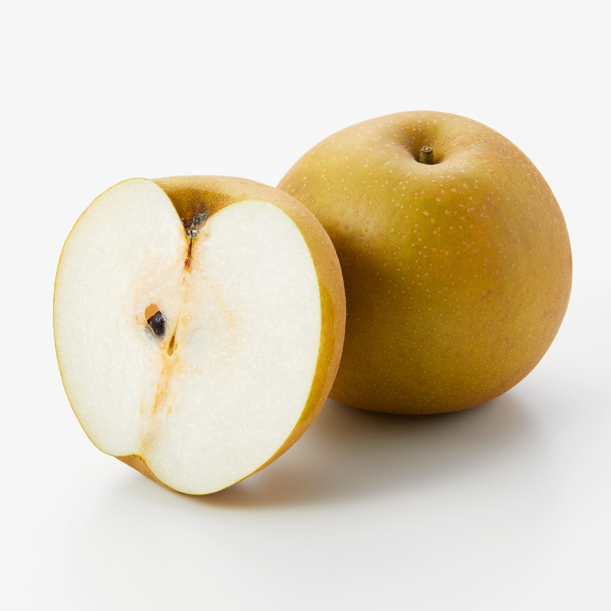 10～16個入 食品・飲料・酒 ⚠️YUKA様専用⚠️茨城県産 梨/