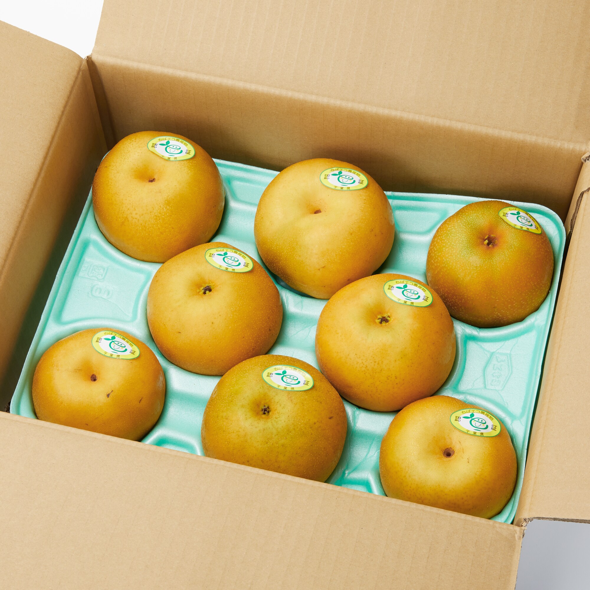 千葉県産　ヤマニ果樹農園の梨「なつひかり」家庭用・約３ｋｇ