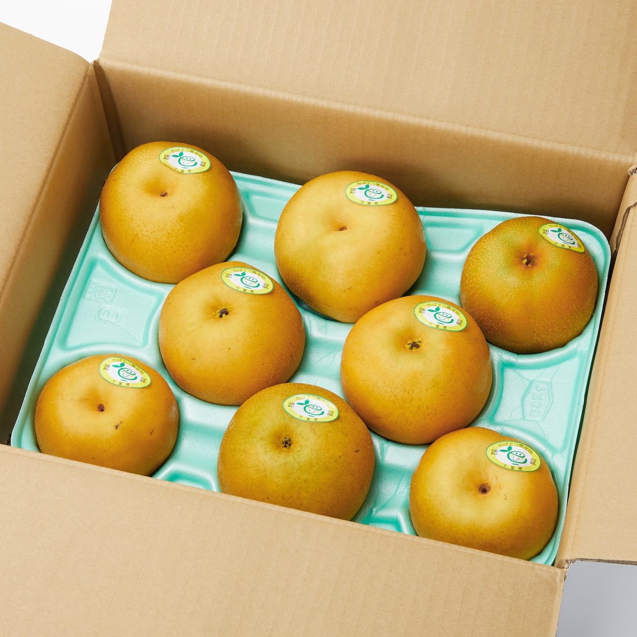 千葉県産　ヤマニ果樹農園の梨「なつひかり」家庭用・約３ｋｇ