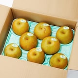 千葉県産　ヤマニ果樹農園の梨「秋麗」家庭用・約３ｋｇ