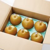 千葉県産　ヤマニ果樹農園の梨「秋満月」家庭用・約３ｋｇ