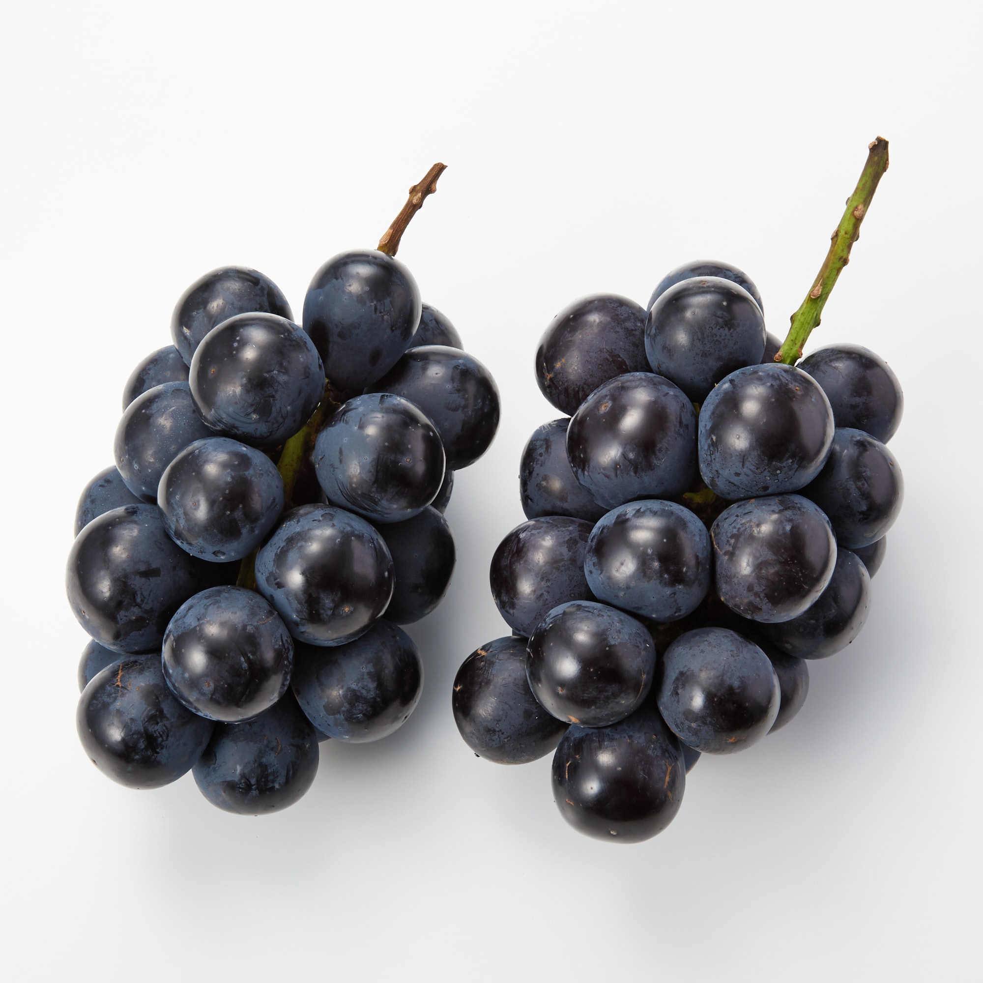 信州産長野パープルふた房・隙間にセイブル 信州産長野パープルふた房・隙間にセイブル ナガノパープルの畑に