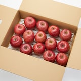 長野県産　代田農園のりんご「サンふじ」家庭用・約５ｋｇ