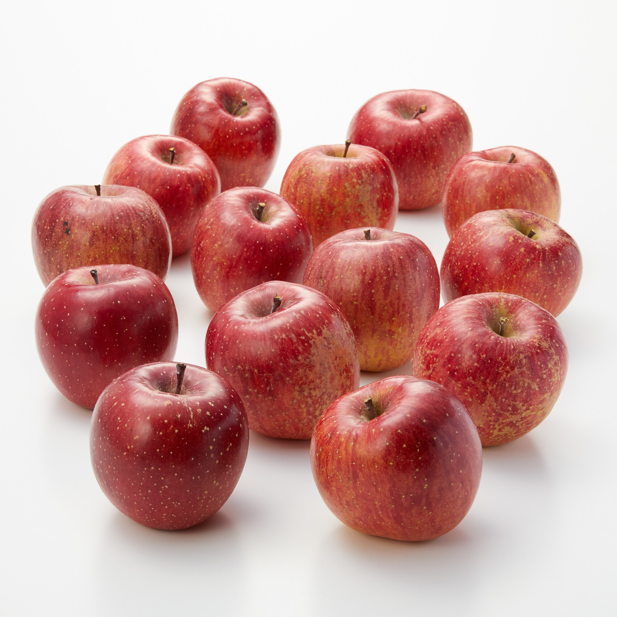 長野県産　代田農園のりんご「サンふじ」家庭用・約５ｋｇ