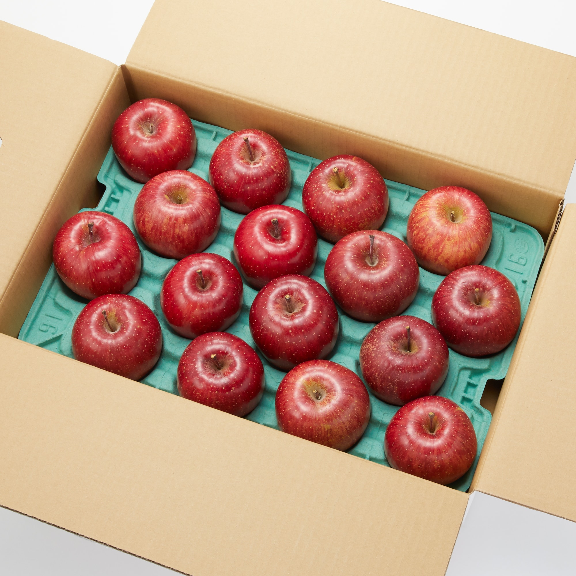 長野県産　代田農園のりんご「サンふじ」約５ｋｇ（１５～２０玉）【ギフトにおすすめ】