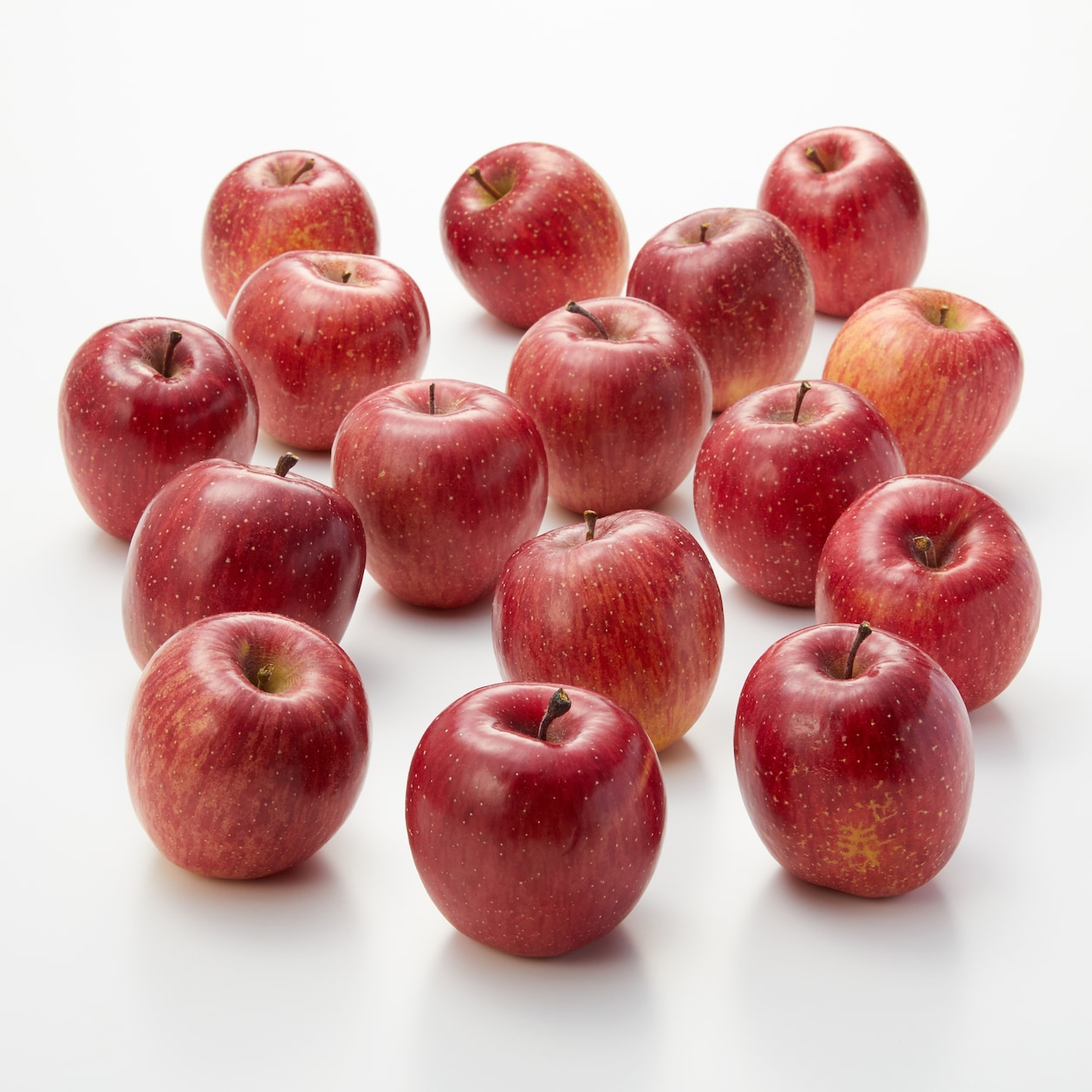 長野県産　代田農園のりんご「サンふじ」約５ｋｇ（１５～２０玉）【ギフトにおすすめ】