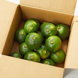 愛媛県産　増田柑園®の「裕香橙®」　約２ｋｇ