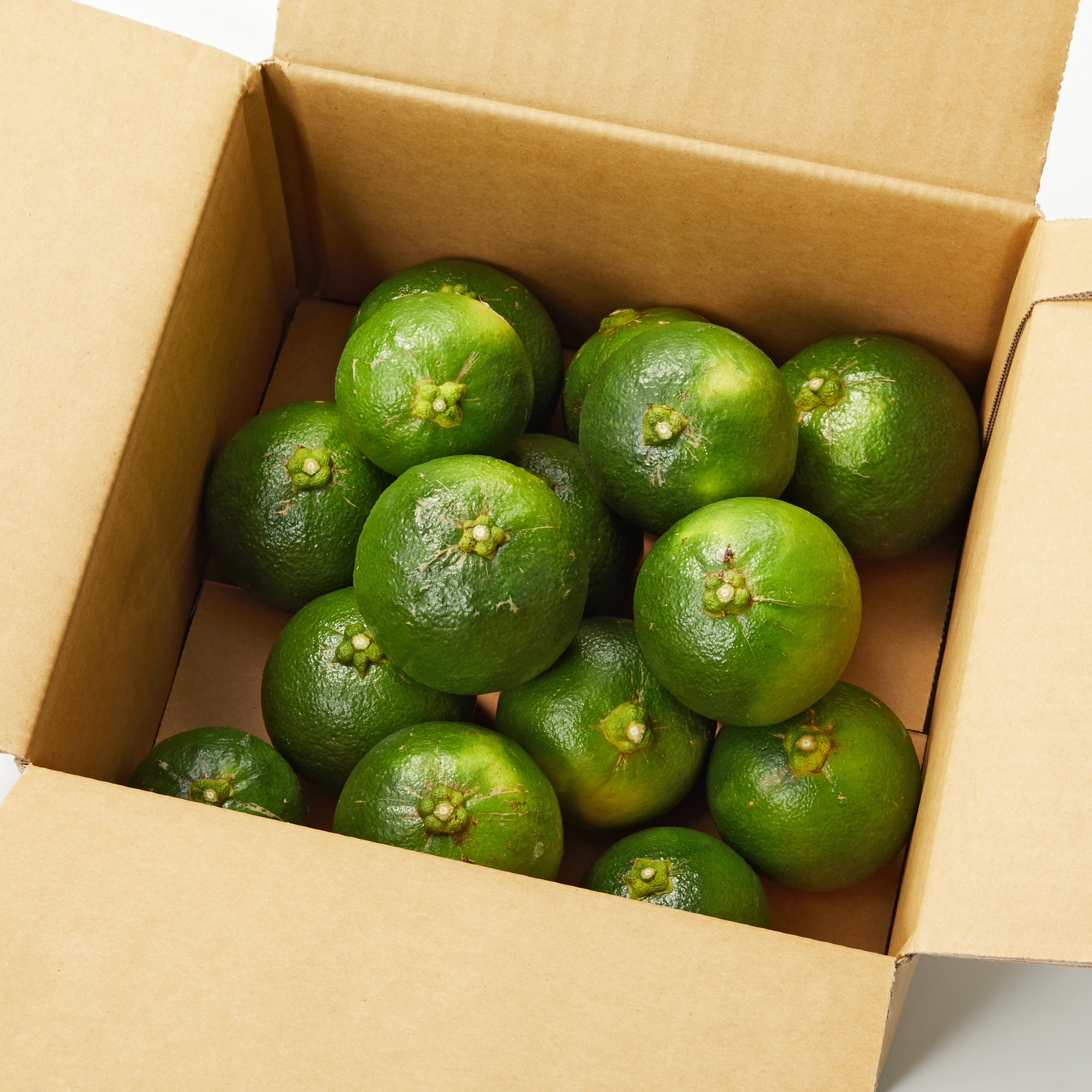 愛媛県産　増田柑園®の「裕香橙®」　約２ｋｇ