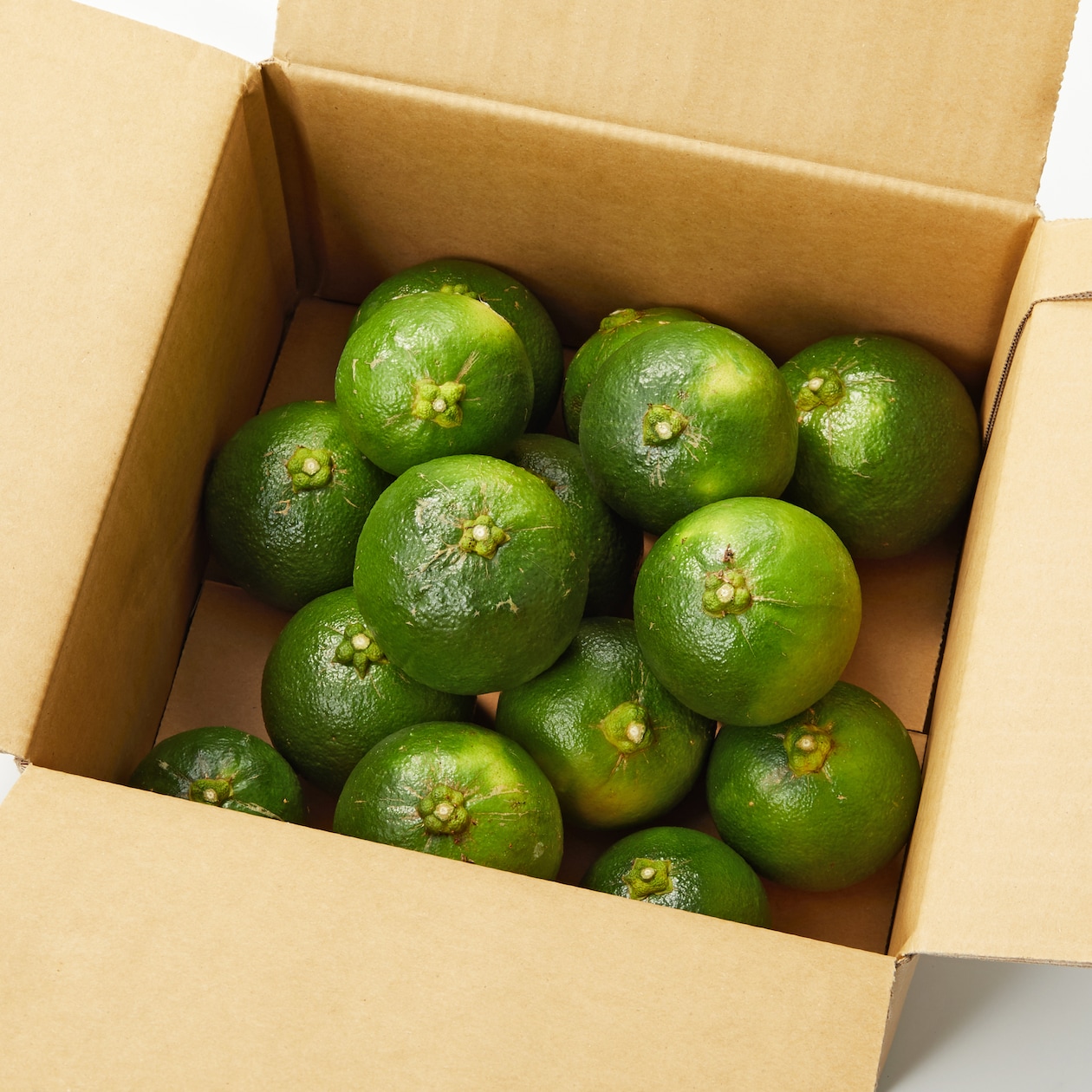 愛媛県産　増田柑園®の「裕香橙®」　約２ｋｇ