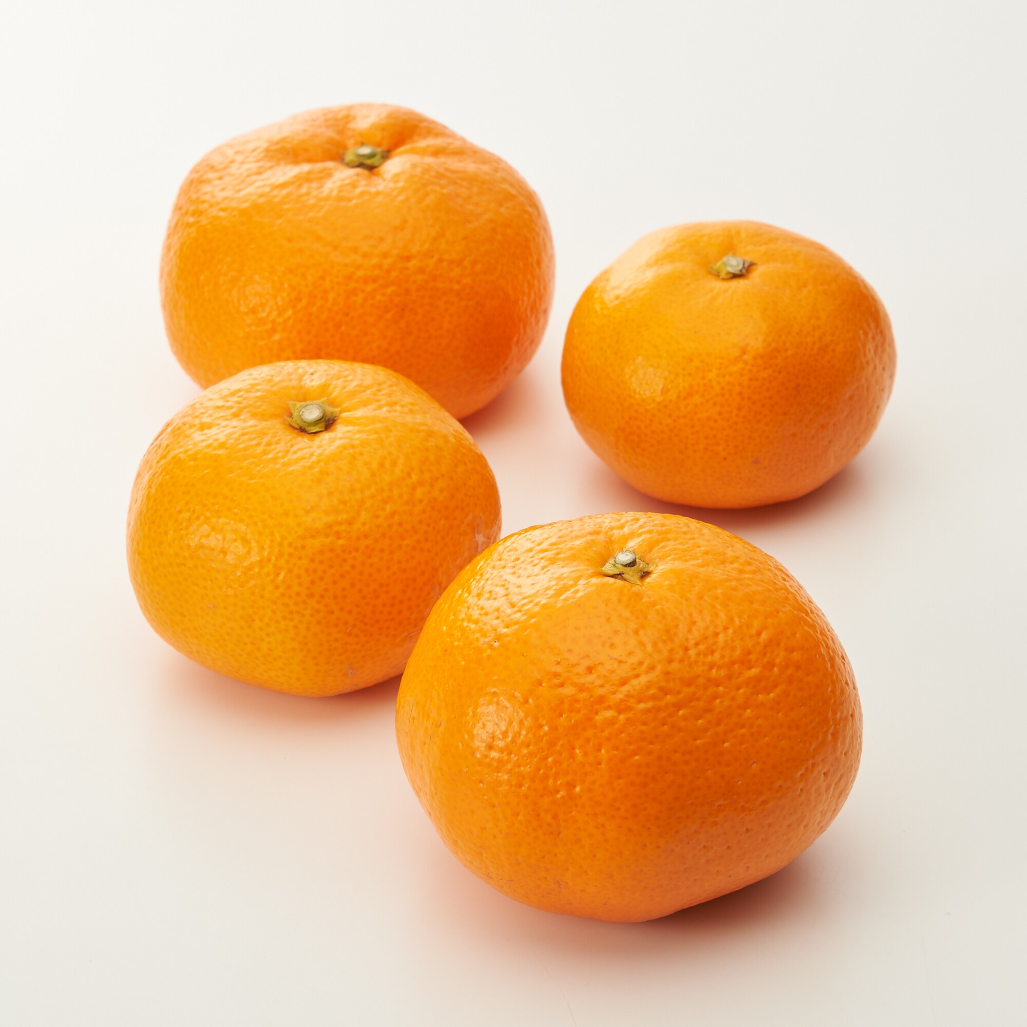 静岡県産 えなみ農園の「青島みかん」 家庭用 S～2L混合 約4