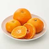 静岡県産　えなみ農園の「青島みかん」　家庭用　Ｓ～２Ｌ混合　約４．５ｋｇ