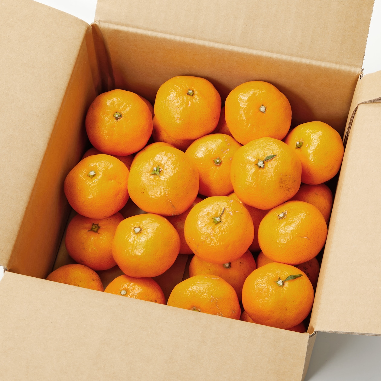 愛媛県産　増田柑園®の不揃い「温州みかん」　約３ｋｇ