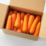 兵庫県産　丹波たかみ農場の「有機人参」　約３ｋｇ（有機ＪＡＳ取得）