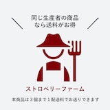 秋田県産　ストロベリーファームの夏秋いちご「なつあかり」（小粒）約５００ｇ