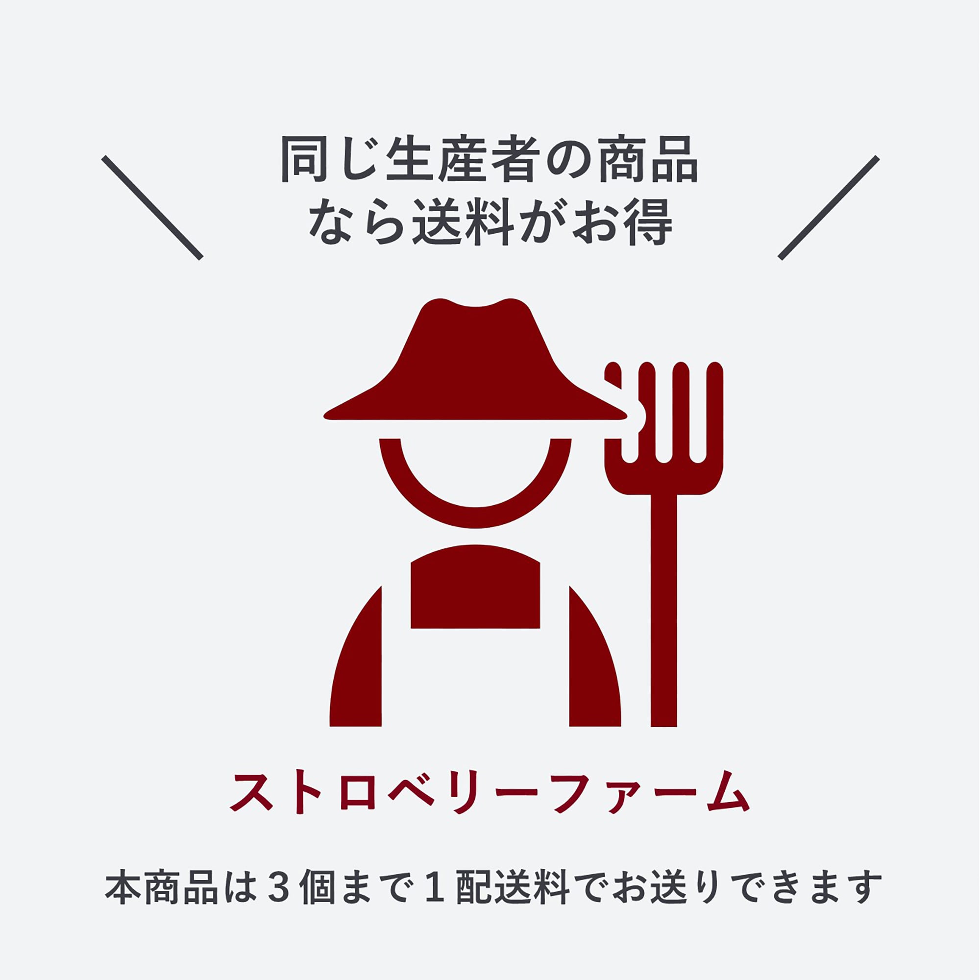 秋田県産　ストロベリーファームの夏秋いちご「なつあかり」（小粒）約５００ｇ