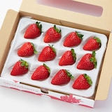 神奈川県産　SlowFarmの完熟いちご「よつぼし」約450g