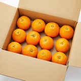 愛媛県産　増田柑園®の「プレミアム宮内伊予柑１９７２」　約３ｋｇ