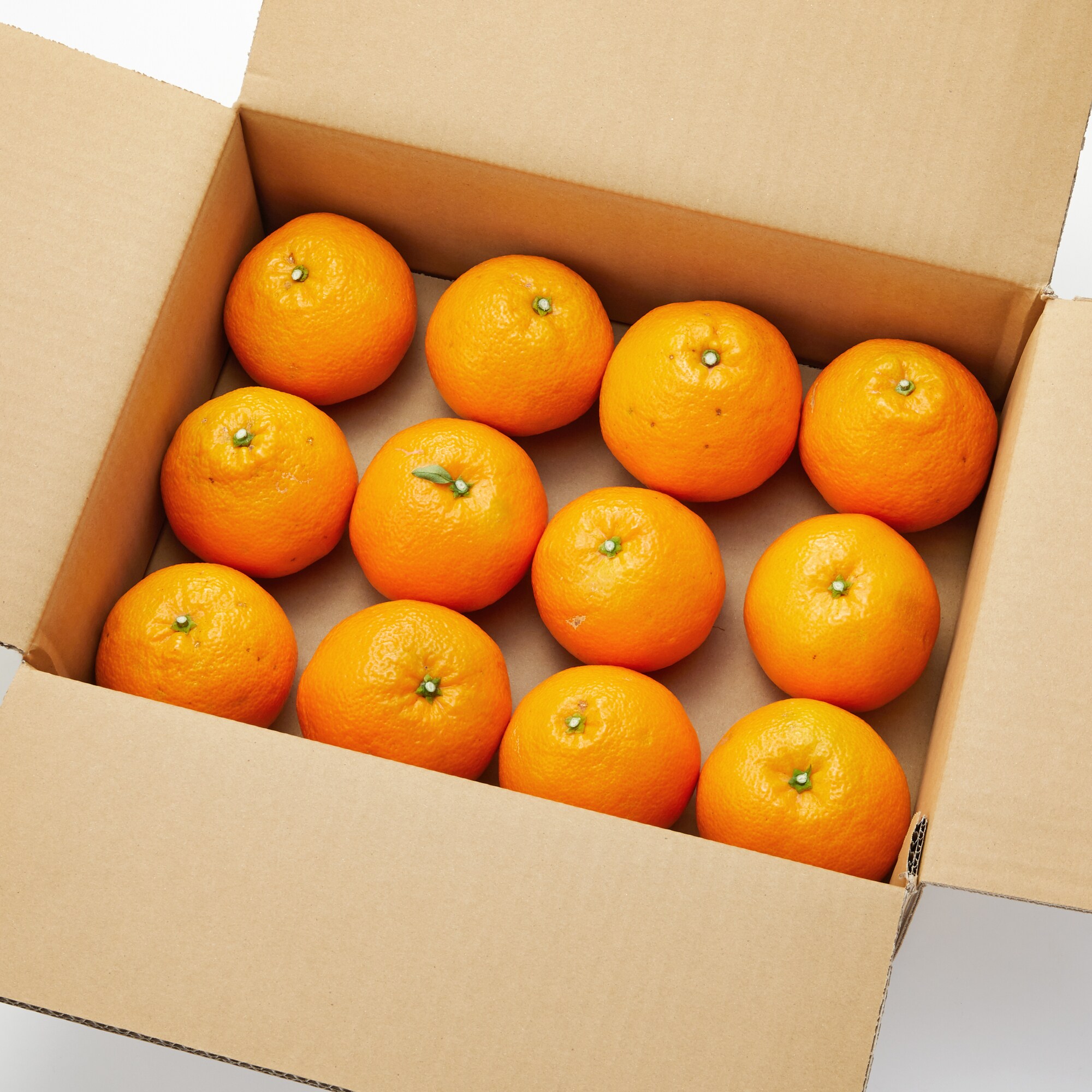 愛媛県産　増田柑園®の「プレミアム宮内伊予柑１９７２」　約３ｋｇ