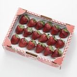 千葉県産　相葉苺園の黒いちご「真紅の美鈴」約５００ｇ