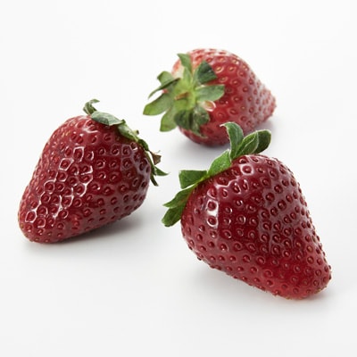 千葉県産　相葉苺園の黒いちご「真紅の美鈴」約５００ｇ