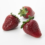 千葉県産　相葉苺園の黒いちご「真紅の美鈴」約５００ｇ