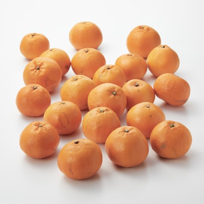 愛媛県産　増田柑園®の不揃い「はるみ」約２．５ｋｇ