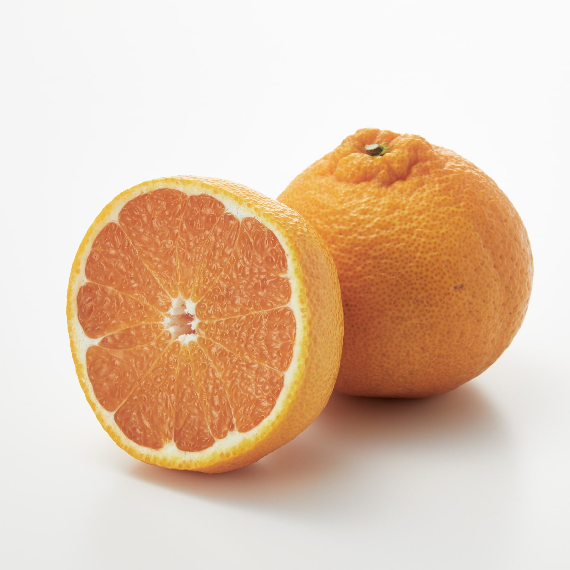 愛媛県産　増田柑園®の不揃い「不知火」　１０玉（２Ⅼ）