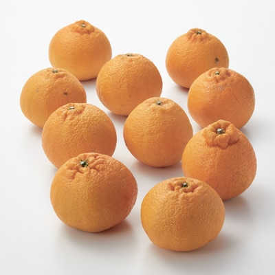 愛媛県産　増田柑園®の不揃い「不知火」　１０玉（２Ⅼ）