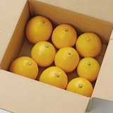 福岡県産　いわくま果樹園の「マイヤーレモン」イエロー　約１ｋｇ