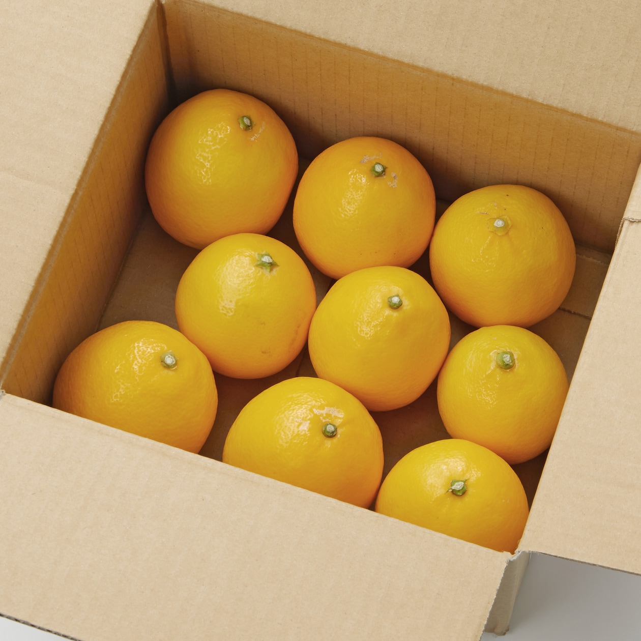 福岡県産　いわくま果樹園の「マイヤーレモン」イエロー　約１ｋｇ