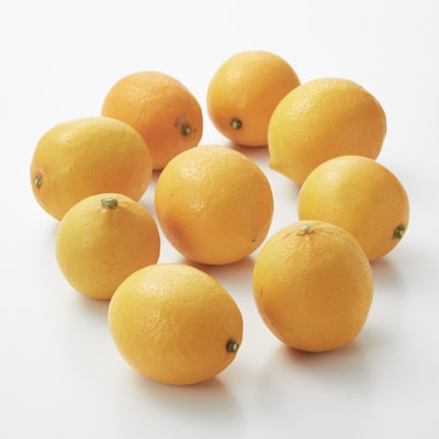 福岡県産　いわくま果樹園の「マイヤーレモン」イエロー　約１ｋｇ