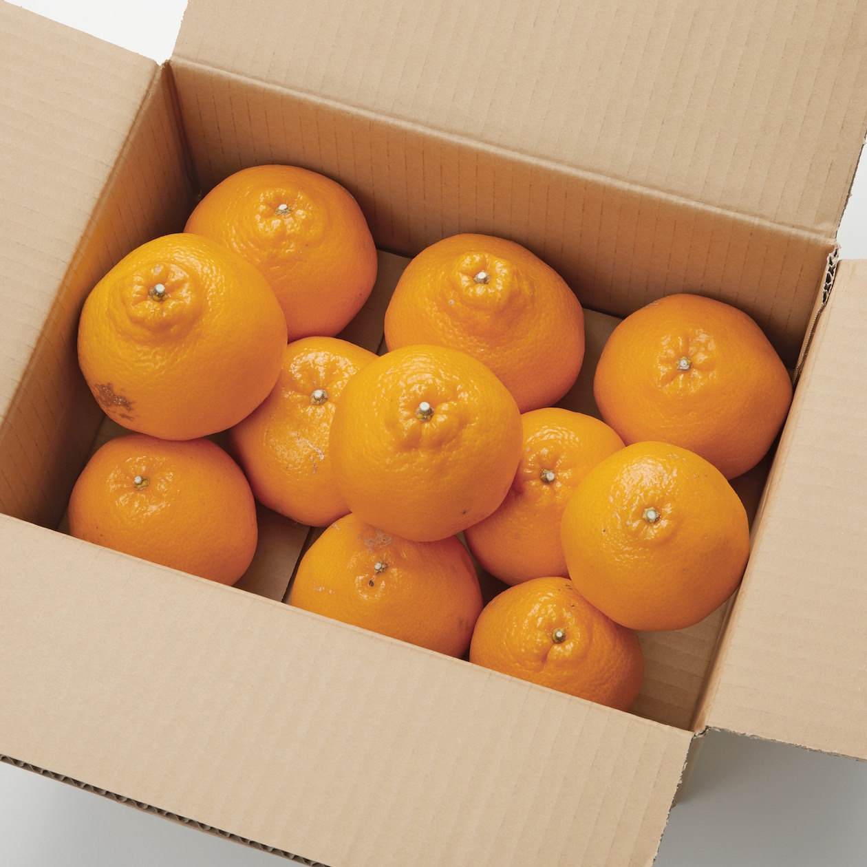 静岡県産　えなみ農園の「はるみ」家庭用サイズ混合・約３㎏