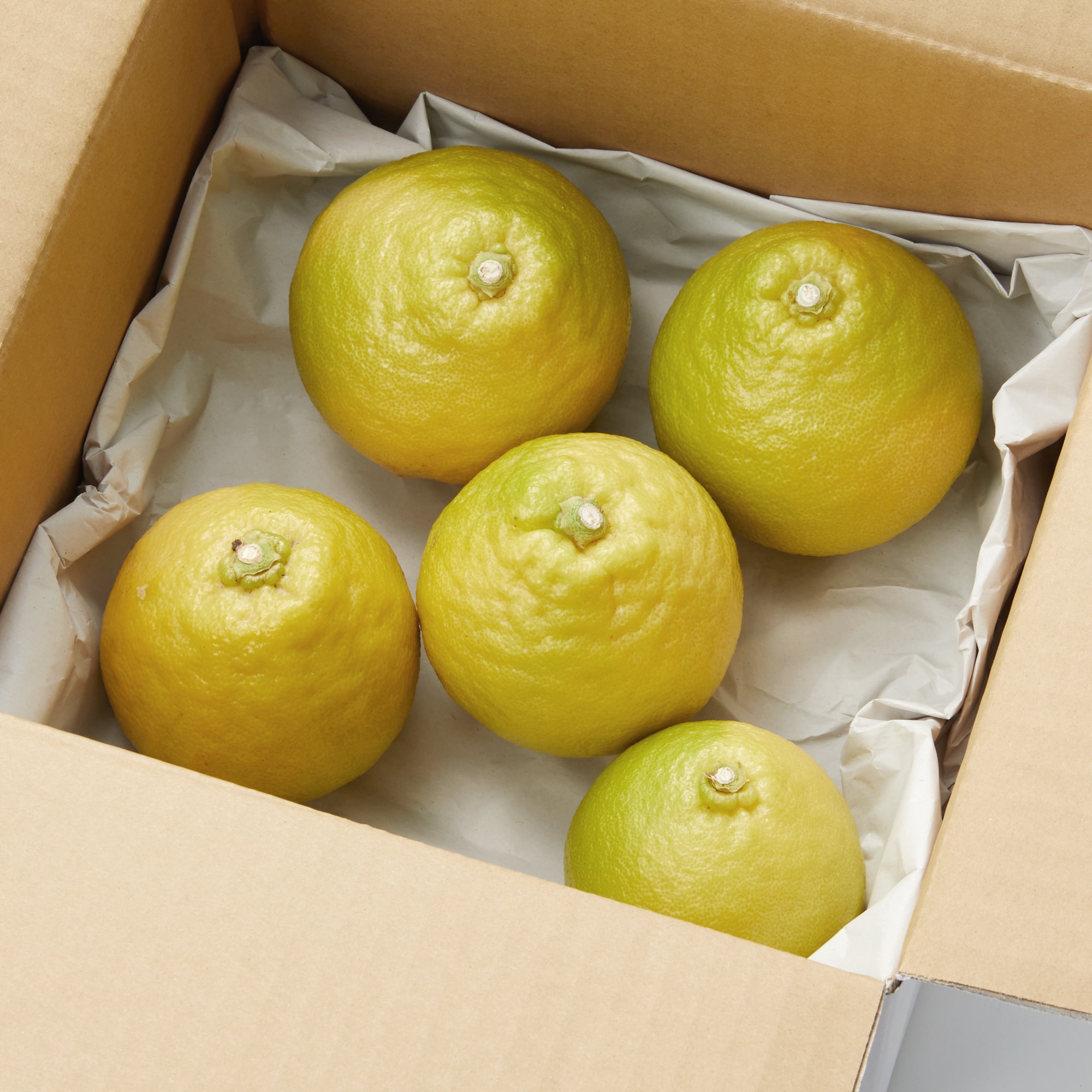 静岡県産 えなみ農園の柑橘「ベルガモット」サイズ混合 約1㎏ | 無印良品