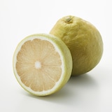 静岡県産　えなみ農園の柑橘「ベルガモット」サイズ混合　約１㎏