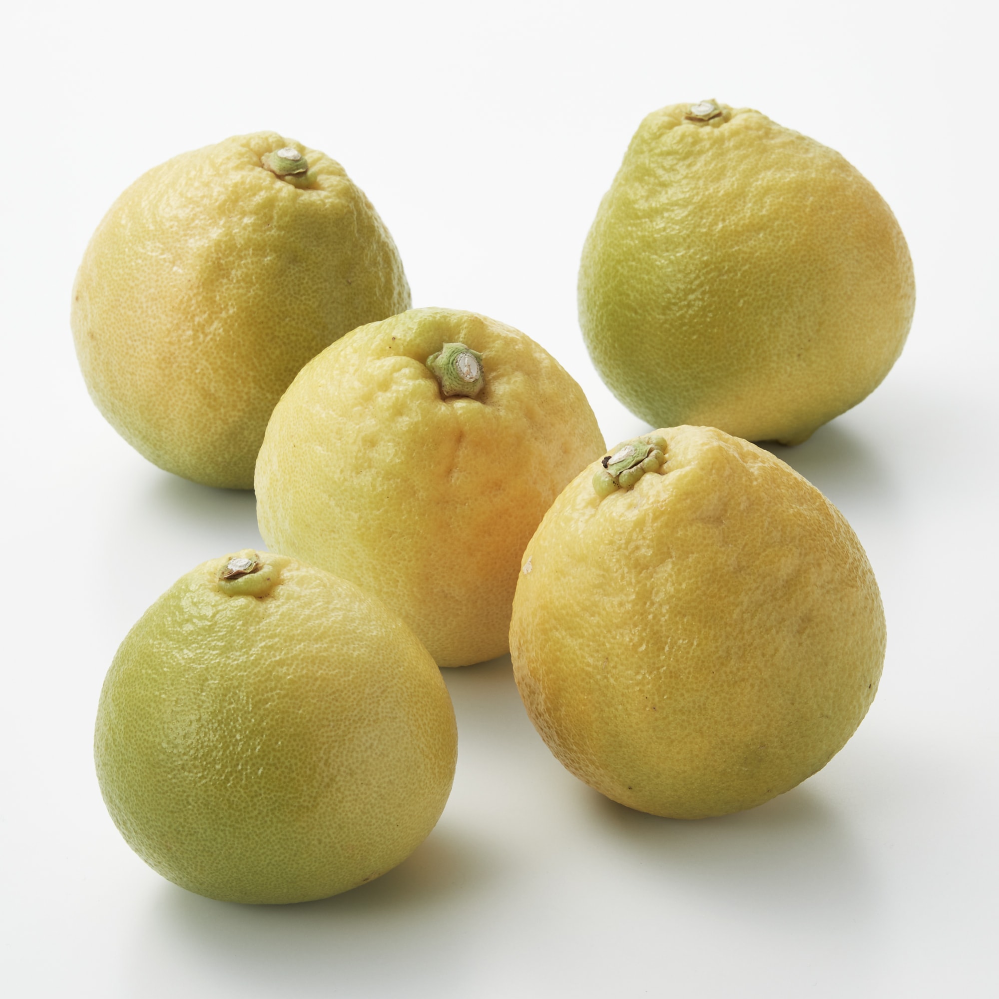 静岡県産　えなみ農園の柑橘「ベルガモット」サイズ混合　約１㎏