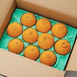 愛媛県産　増田柑園®の不揃い「熟成不知火」１０玉（２L）