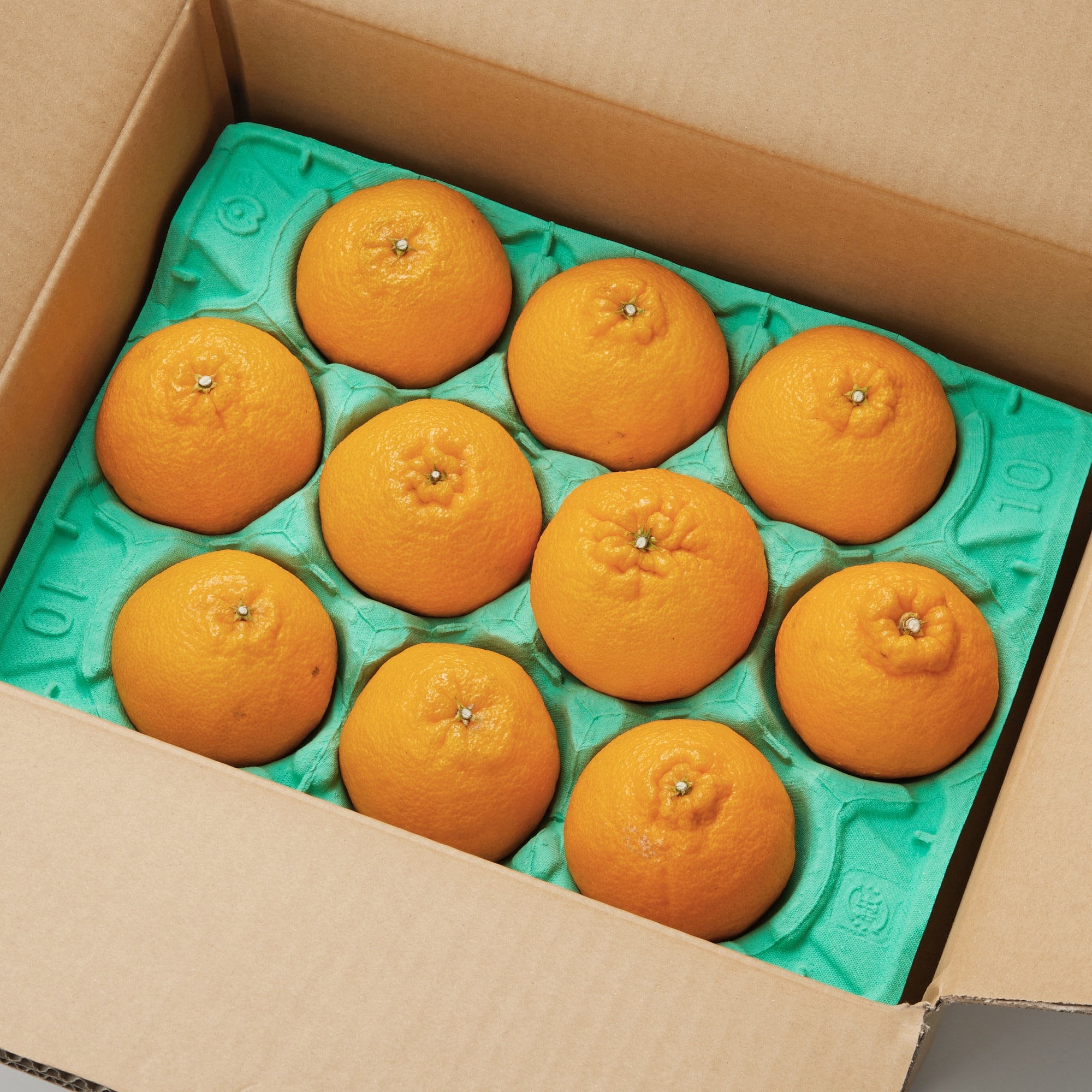 愛媛県産　増田柑園®の不揃い「熟成不知火」１０玉（２L）