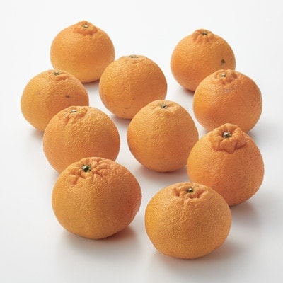 愛媛県産　増田柑園®の不揃い「熟成不知火」１０玉（２L）