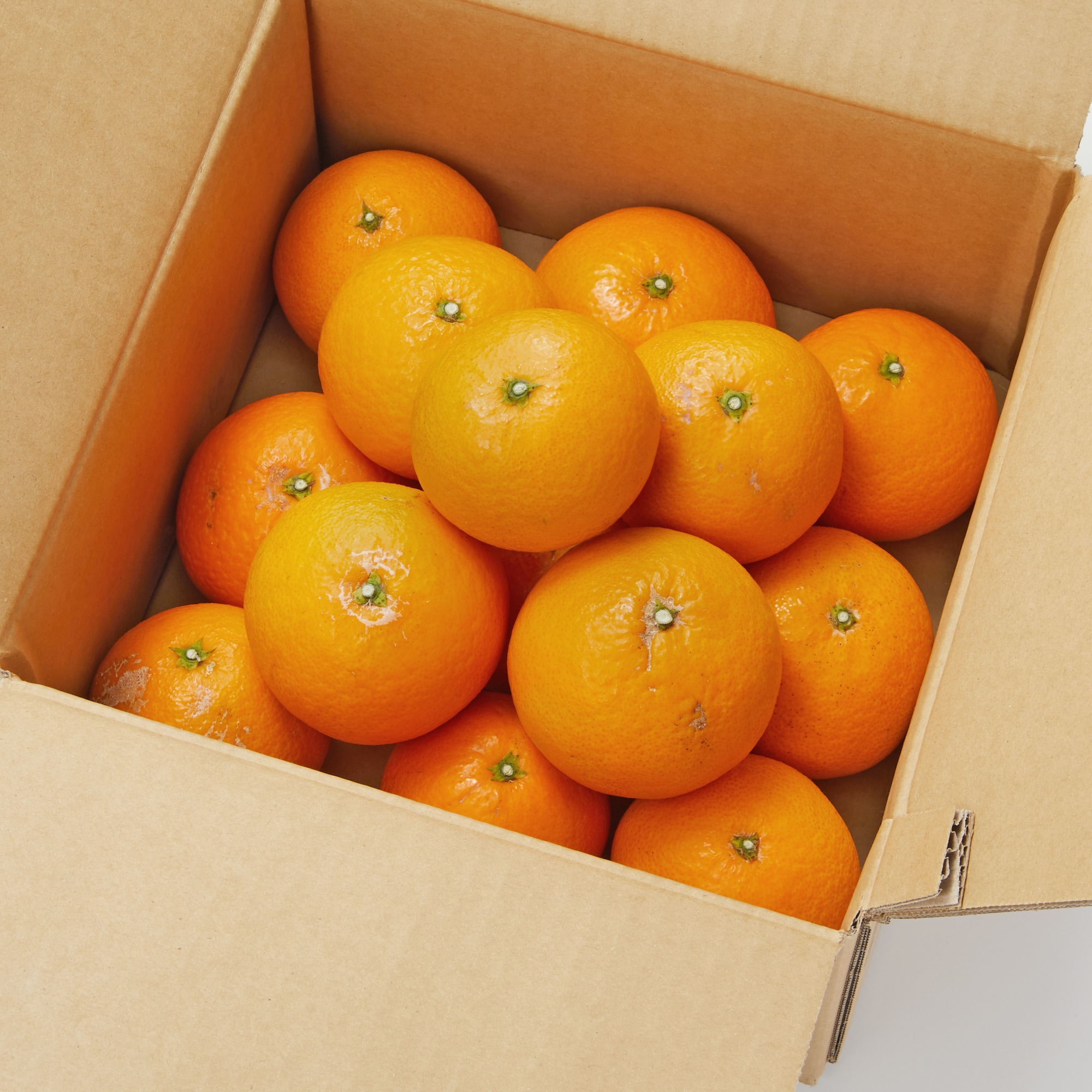 愛媛県産　増田柑園®の不揃い「清見オレンジ」約２．５ｋｇ