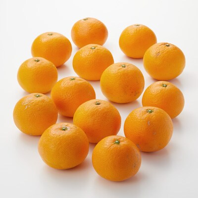 愛媛県産　増田柑園の不揃い「清見オレンジ」約２．５ｋｇ